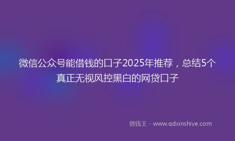 微信公众号能借钱的口子2025年推荐，总结5个真正无视风控黑白的网贷口子