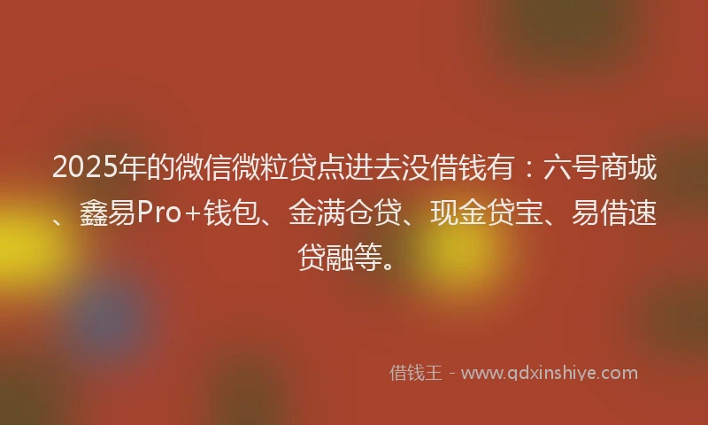 2025年的微信微粒贷点进去没借钱有：六号商城、鑫易Pro+钱包、金满仓贷、现金贷宝、易借速贷融等。