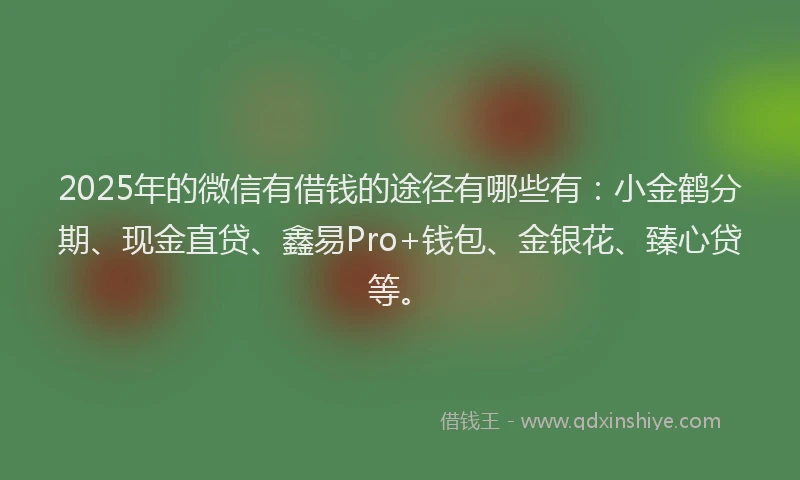 2025年的微信有借钱的途径有哪些有：小金鹤分期、现金直贷、鑫易Pro+钱包、金银花、臻心贷等。