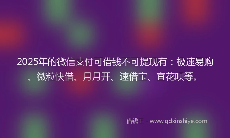 2025年的微信支付可借钱不可提现有：极速易购、微粒快借、月月开、速借宝、宜花呗等。