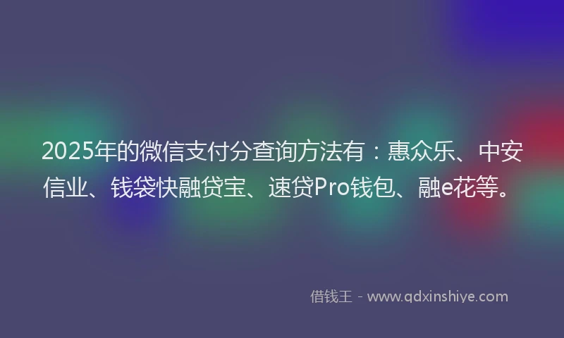 2025年的微信支付分查询方法有：惠众乐、中安信业、钱袋快融贷宝、速贷Pro钱包、融e花等。