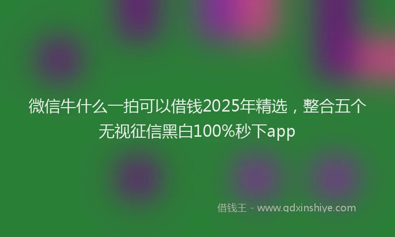 微信牛什么一拍可以借钱2025年精选，整合五个无视征信黑白100%秒下app
