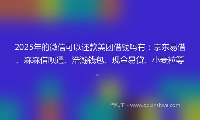 2025年的微信可以还款美团借钱吗有：京东易借、森森借呗通、浩瀚钱包、现金易贷、小麦粒等。