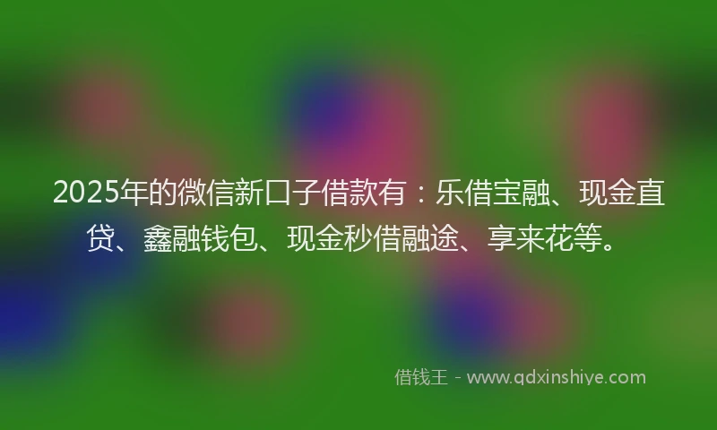 2025年的微信新口子借款有：乐借宝融、现金直贷、鑫融钱包、现金秒借融途、享来花等。