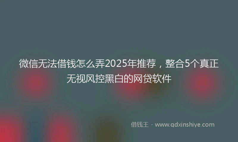 微信无法借钱怎么弄2025年推荐，整合5个真正无视风控黑白的网贷软件