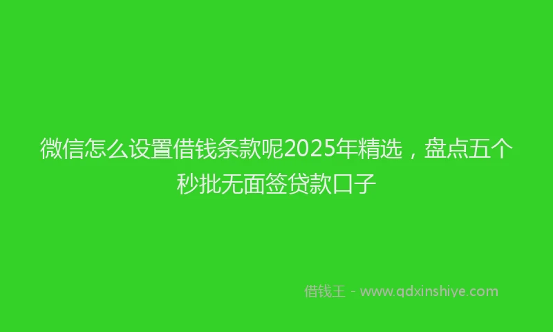 微信怎么设置借钱条款呢2025年精选，盘点五个秒批无面签贷款口子
