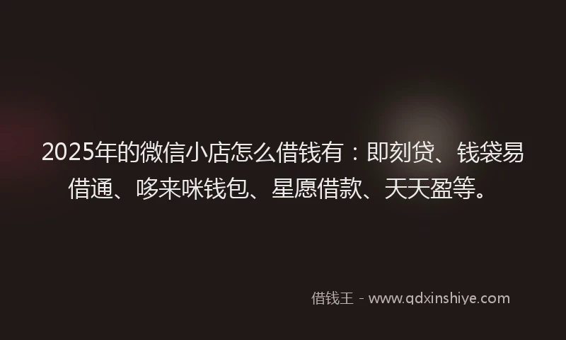 2025年的微信小店怎么借钱有：即刻贷、钱袋易借通、哆来咪钱包、星愿借款、天天盈等。