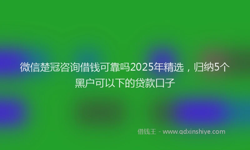 微信楚冠咨询借钱可靠吗2025年精选，归纳5个黑户可以下的贷款口子