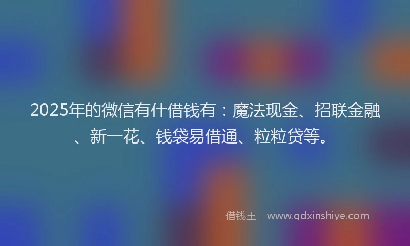 2025年的微信有什借钱有：魔法现金、招联金融、新一花、钱袋易借通、粒粒贷等。