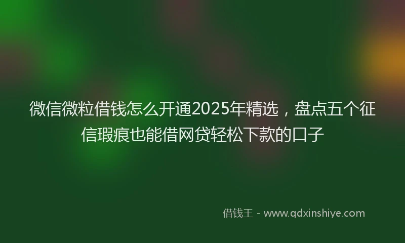微信微粒借钱怎么开通2025年精选，盘点五个征信瑕疵也能借网贷轻松下款的口子