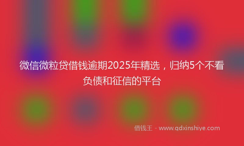 微信微粒贷借钱逾期2025年精选，归纳5个不看负债和征信的平台