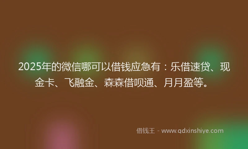 2025年的微信哪可以借钱应急有：乐借速贷、现金卡、飞融金、森森借呗通、月月盈等。