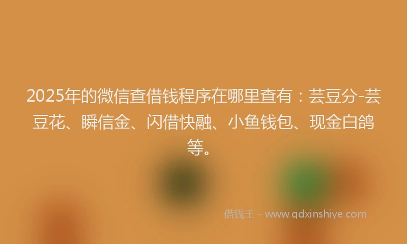 2025年的微信查借钱程序在哪里查有：芸豆分-芸豆花、瞬信金、闪借快融、小鱼钱包、现金白鸽等。
