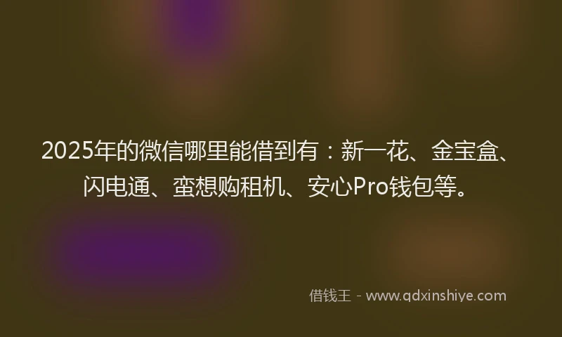 2025年的微信哪里能借到有：新一花、金宝盒、闪电通、蛮想购租机、安心Pro钱包等。