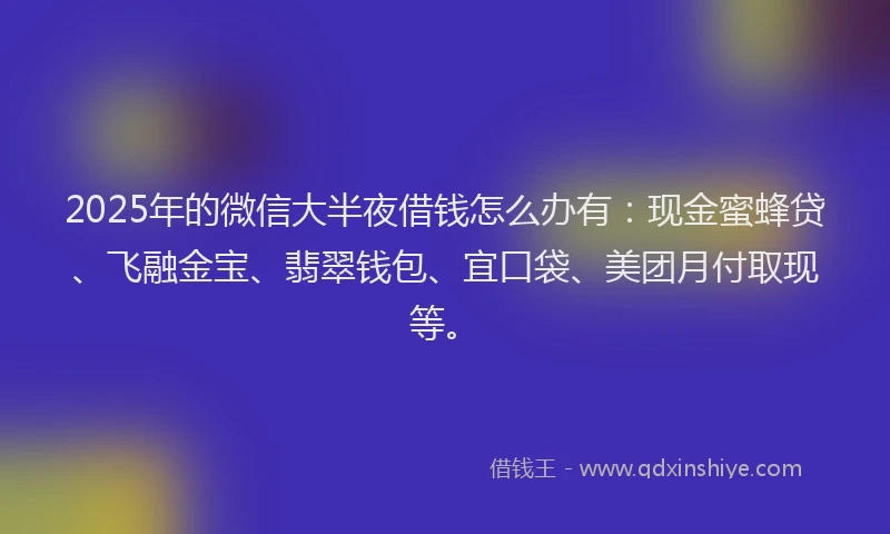 2025年的微信大半夜借钱怎么办有：现金蜜蜂贷、飞融金宝、翡翠钱包、宜口袋、美团月付取现等。