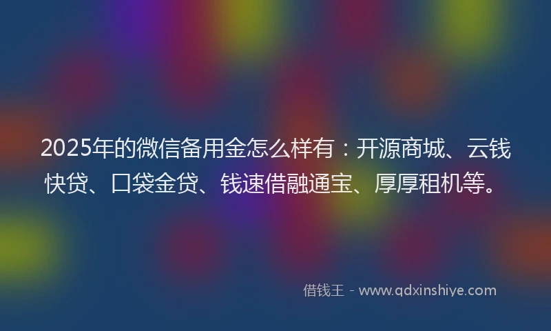 2025年的微信备用金怎么样有：开源商城、云钱快贷、口袋金贷、钱速借融通宝、厚厚租机等。