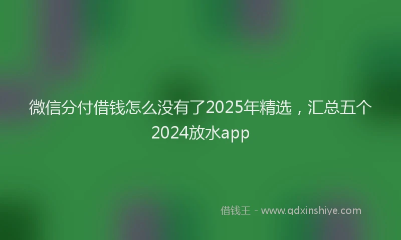 微信分付借钱怎么没有了2025年精选，汇总五个2024放水app