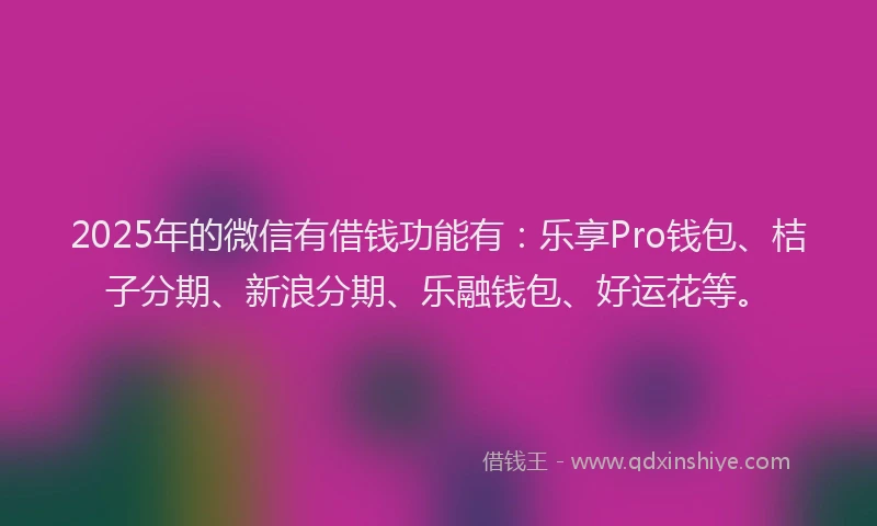 2025年的微信有借钱功能有：乐享Pro钱包、桔子分期、新浪分期、乐融钱包、好运花等。