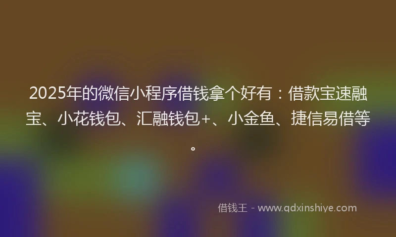 2025年的微信小程序借钱拿个好有：借款宝速融宝、小花钱包、汇融钱包+、小金鱼、捷信易借等。