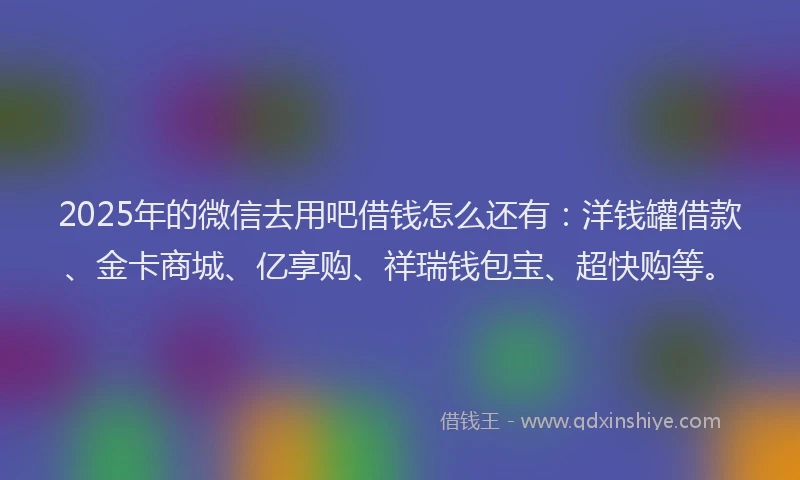 2025年的微信去用吧借钱怎么还有：洋钱罐借款、金卡商城、亿享购、祥瑞钱包宝、超快购等。