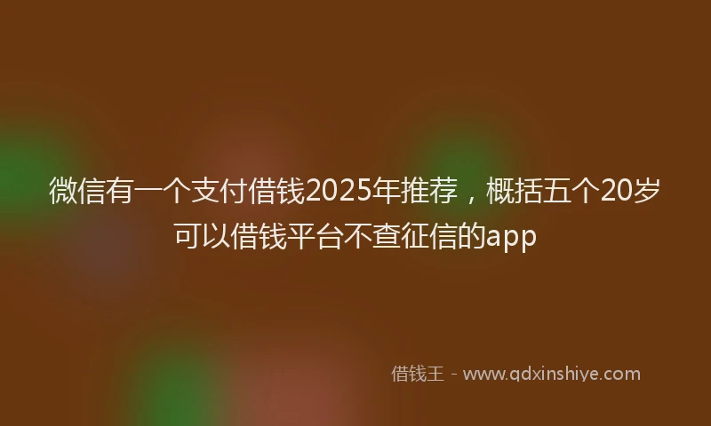 微信有一个支付借钱2025年推荐，概括五个20岁可以借钱平台不查征信的app