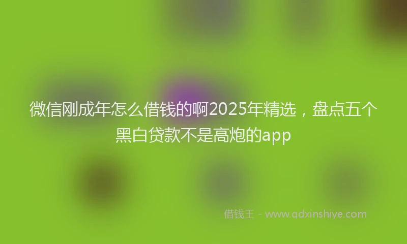 微信刚成年怎么借钱的啊2025年精选，盘点五个黑白贷款不是高炮的app