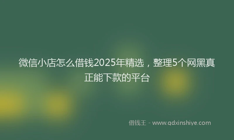 微信小店怎么借钱2025年精选，整理5个网黑真正能下款的平台