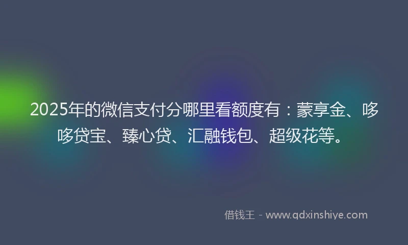 2025年的微信支付分哪里看额度有：蒙享金、哆哆贷宝、臻心贷、汇融钱包、超级花等。