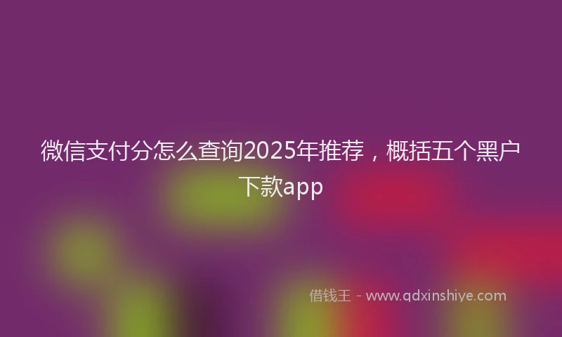 微信支付分怎么查询2025年推荐，概括五个黑户下款app