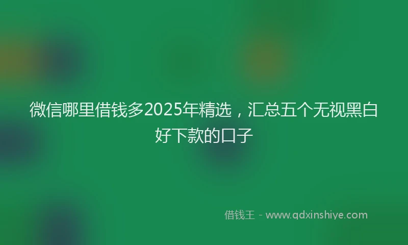 微信哪里借钱多2025年精选，汇总五个无视黑白好下款的口子