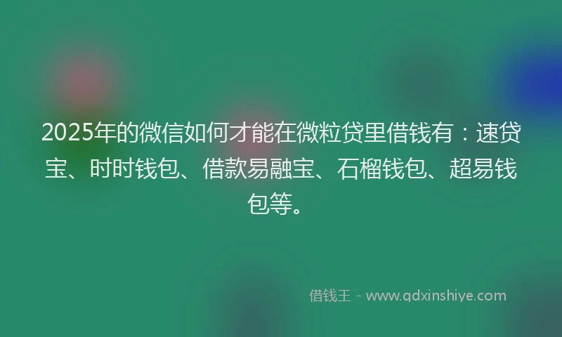 2025年的微信如何才能在微粒贷里借钱有：速贷宝、时时钱包、借款易融宝、石榴钱包、超易钱包等。