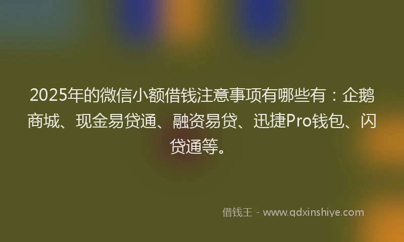 2025年的微信小额借钱注意事项有哪些有：企鹅商城、现金易贷通、融资易贷、迅捷Pro钱包、闪贷通等。