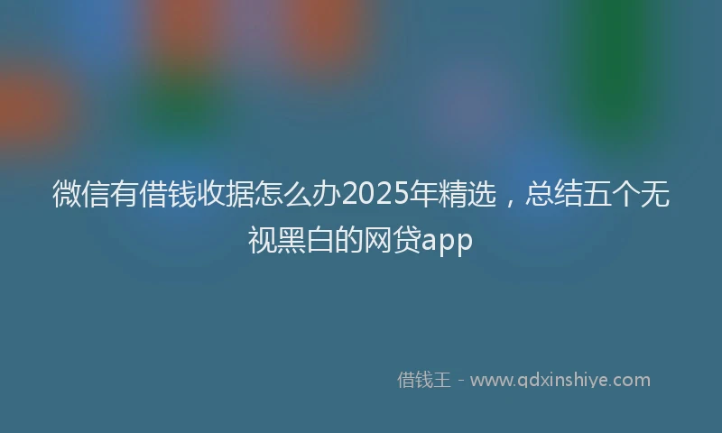 微信有借钱收据怎么办2025年精选，总结五个无视黑白的网贷app