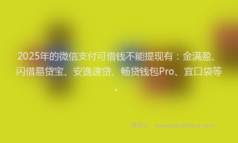 2025年的微信支付可借钱不能提现有：金满盈、闪借易贷宝、安逸速贷、畅贷钱包Pro、宜口袋等。