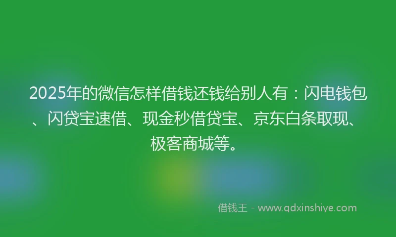 2025年的微信怎样借钱还钱给别人有：闪电钱包、闪贷宝速借、现金秒借贷宝、京东白条取现、极客商城等。