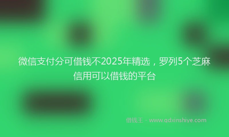 微信支付分可借钱不2025年精选，罗列5个芝麻信用可以借钱的平台