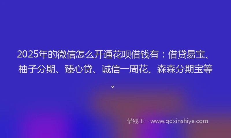 2025年的微信怎么开通花呗借钱有：借贷易宝、柚子分期、臻心贷、诚信一周花、森森分期宝等。