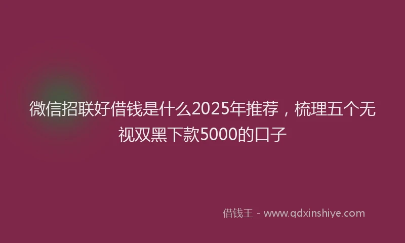 微信招联好借钱是什么2025年推荐，梳理五个无视双黑下款5000的口子