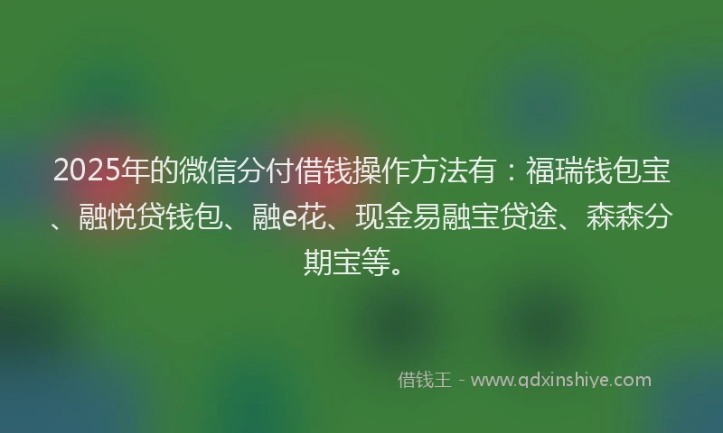 2025年的微信分付借钱操作方法有：福瑞钱包宝、融悦贷钱包、融e花、现金易融宝贷途、森森分期宝等。