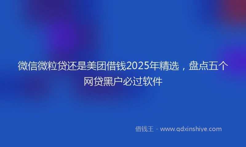 微信微粒贷还是美团借钱2025年精选，盘点五个网贷黑户必过软件