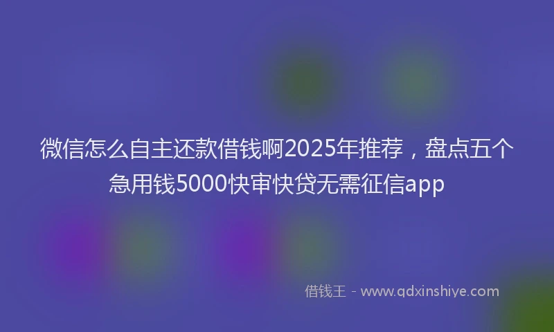 微信怎么自主还款借钱啊2025年推荐，盘点五个急用钱5000快审快贷无需征信app