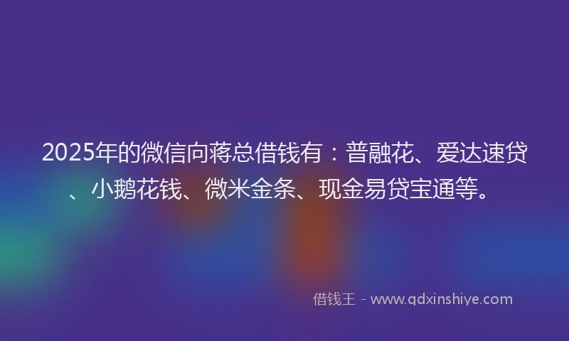 2025年的微信向蒋总借钱有：普融花、爱达速贷、小鹅花钱、微米金条、现金易贷宝通等。