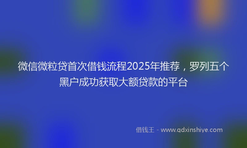 微信微粒贷首次借钱流程2025年推荐，罗列五个黑户成功获取大额贷款的平台