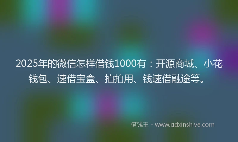 2025年的微信怎样借钱1000有：开源商城、小花钱包、速借宝盒、拍拍用、钱速借融途等。