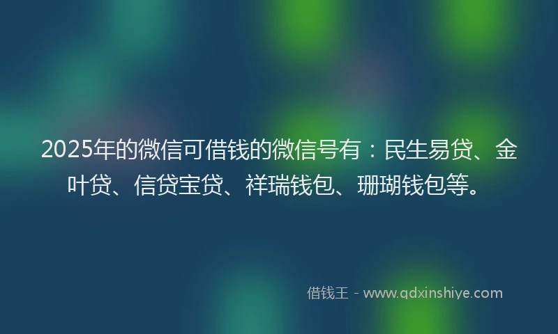 2025年的微信可借钱的微信号有：民生易贷、金叶贷、信贷宝贷、祥瑞钱包、珊瑚钱包等。