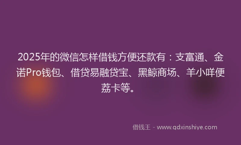 2025年的微信怎样借钱方便还款有：支富通、金诺Pro钱包、借贷易融贷宝、黑鲸商场、羊小咩便荔卡等。