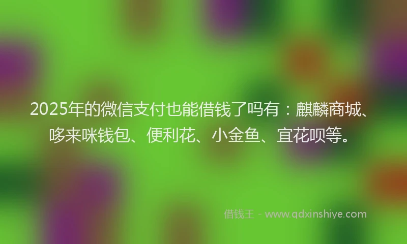 2025年的微信支付也能借钱了吗有：麒麟商城、哆来咪钱包、便利花、小金鱼、宜花呗等。