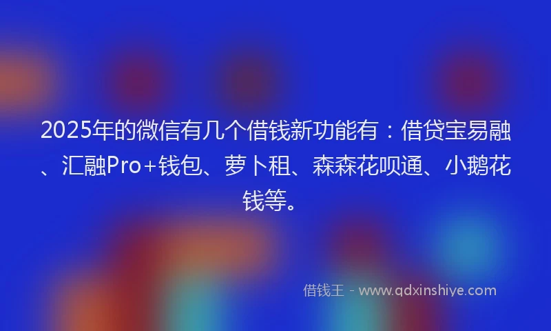 2025年的微信有几个借钱新功能有：借贷宝易融、汇融Pro+钱包、萝卜租、森森花呗通、小鹅花钱等。