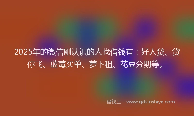 2025年的微信刚认识的人找借钱有：好人贷、贷你飞、蓝莓买单、萝卜租、花豆分期等。