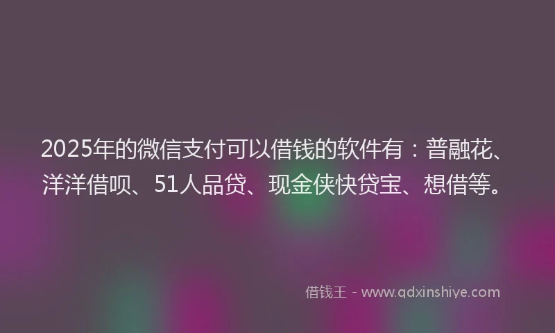 2025年的微信支付可以借钱的软件有：普融花、洋洋借呗、51人品贷、现金侠快贷宝、想借等。